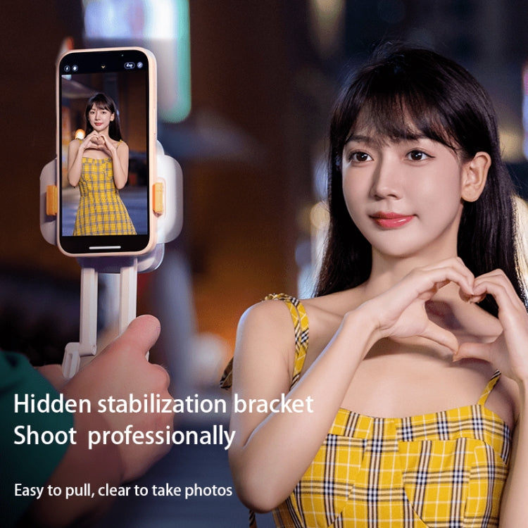 D2 Pro Mini RGB Fill Light Pocket Light with Mobile Phone Holder(White)