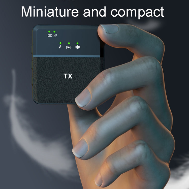 Wireless Lavalier Microphone One To One Live Recording Noise Canceling Mics, Interface: 8 Pin