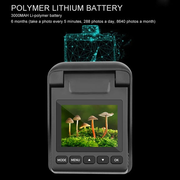 4K Time-Lapse Camera Microlight Full Color Night Vision Security Recording Construction Site Time-Lapse Camera(Black)