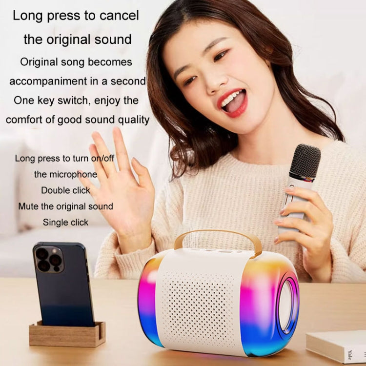 Y5 2 Microphone Portable Bluetooth Speaker Home And Outdoor Wireless Karaoke Audio(Black)