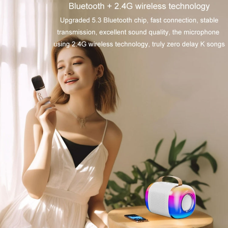 Y5 2 Microphone Portable Bluetooth Speaker Home And Outdoor Wireless Karaoke Audio(Black)
