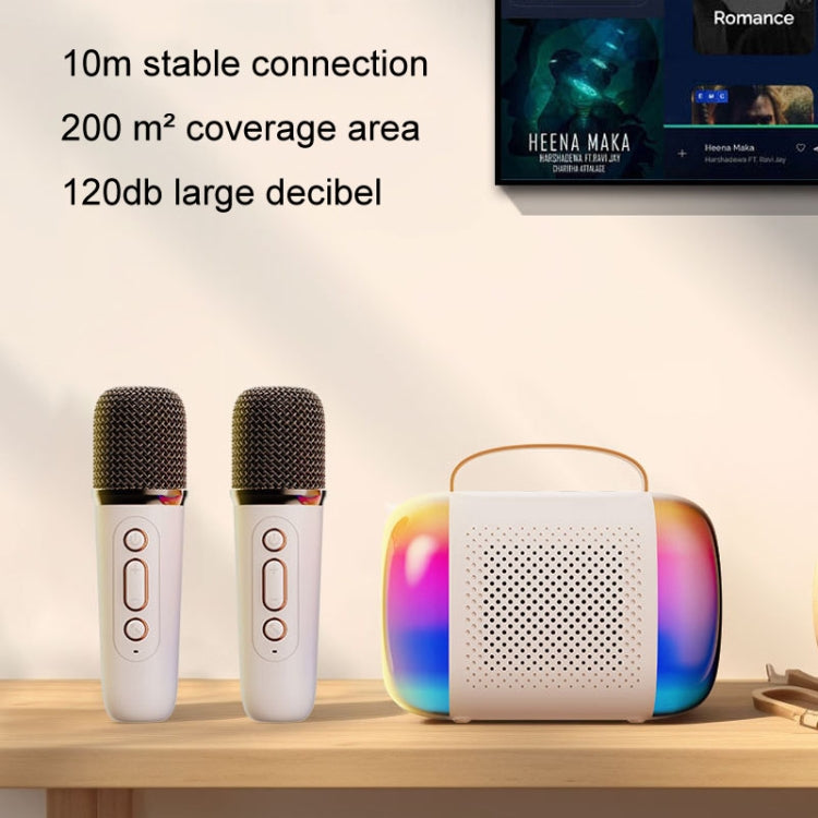 Y5 1 Microphone Portable Bluetooth Speaker Home And Outdoor Wireless Karaoke Audio(Black)