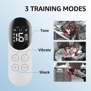 Pet Dog Training Anti-barking Collar Smart Remote Control(Random Color Delivery)