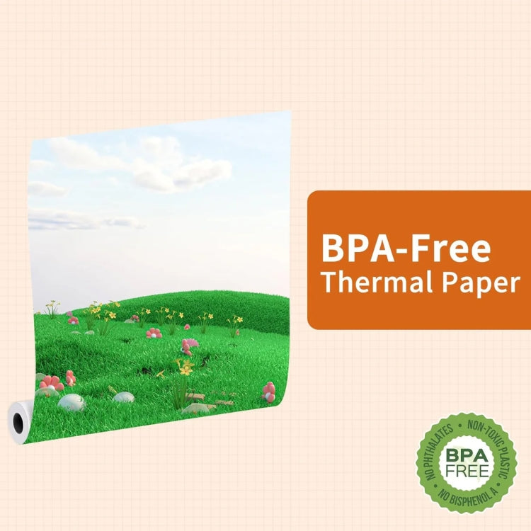 Phomemo 4rolls /Box A4 Writing Quick-Drying Thermal Paper 10-Year Long-Lasting For M832 / M833 / M834 / M835 Printer