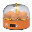 6-Eggs Small Household Experimental Children Smart Chicken Incubators, Spec: Automatic UK Plug - Incubators by PMC TechLife | Online Shopping South Africa | PMC TechLife