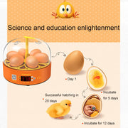 6-Eggs Small Household Experimental Children Smart Chicken Incubators, Spec: Dual-electric Automatic UK Plug