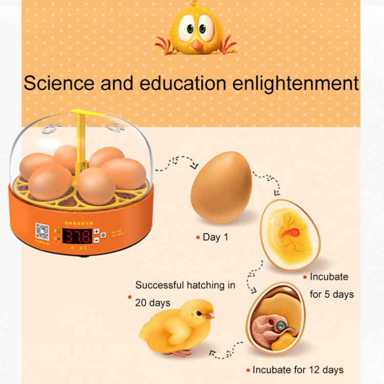 6-Eggs Small Household Experimental Children Smart Chicken Incubators, Spec: Automatic EU Plug