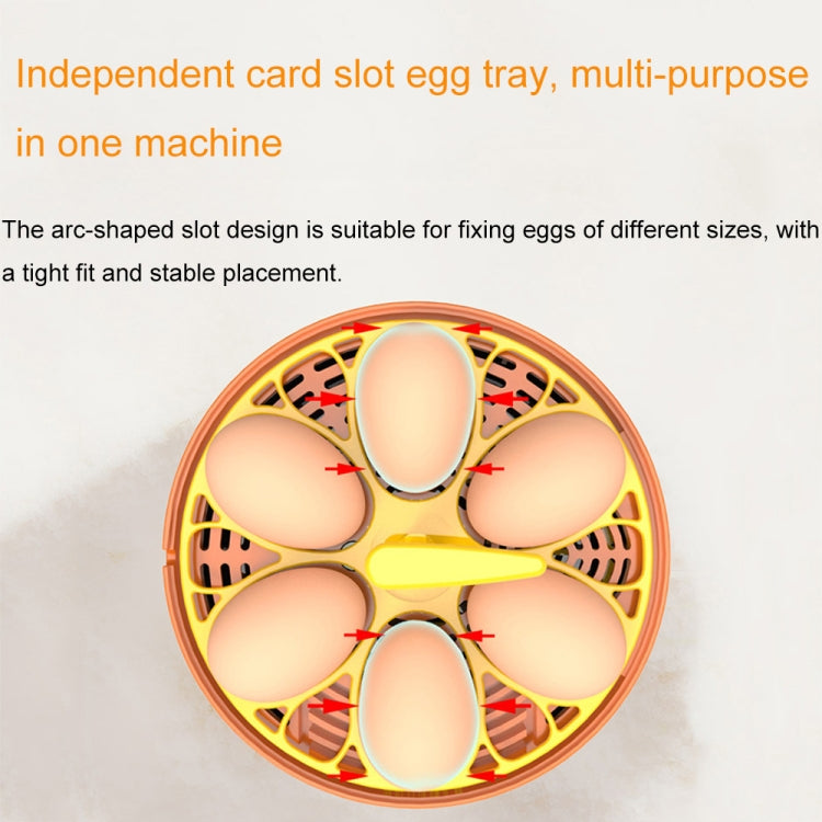 6-Eggs Small Household Experimental Children Smart Chicken Incubators, Spec: Automatic US Plug