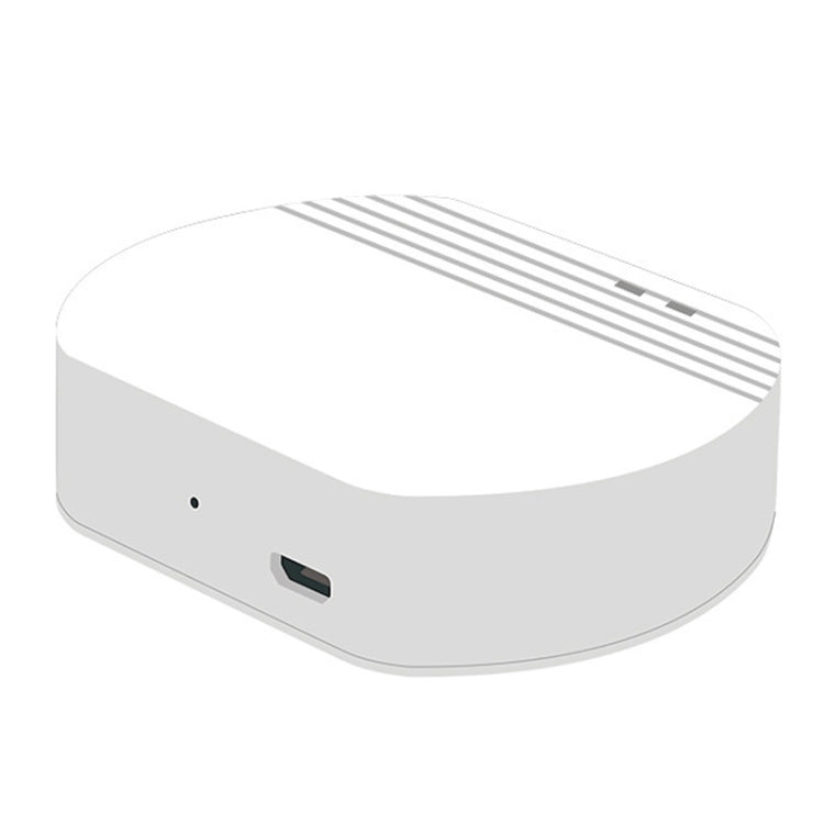 Ewelink Whole House Smart Home ZigBee Wireless Gateway with SONOFF Gateway Devices(EV-WG-2)