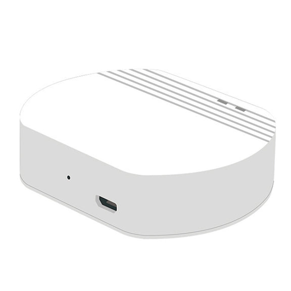 Ewelink Whole House Smart Home ZigBee Wireless Gateway with SONOFF Gateway Devices(EV-WG-2)