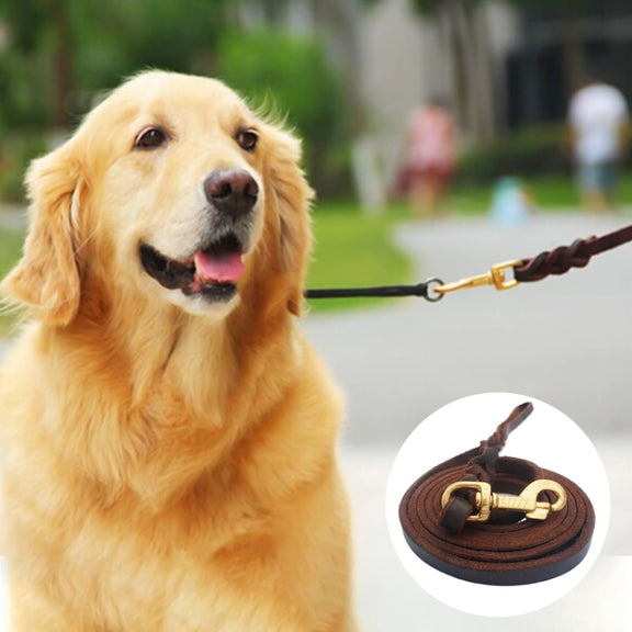1.2 x 300cm Pet Outing Cowhide Towing Leash Dog Training Harness(Bronze Hook)