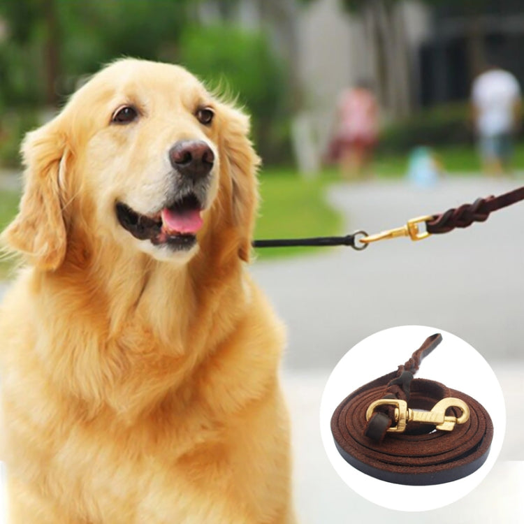 1.2 x 200cm Pet Outing Cowhide Towing Leash Dog Training Harness(Bronze Hook)