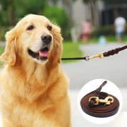 1.2 x 250cm Pet Outing Cowhide Towing Leash Dog Training Harness(Bronze Hook)