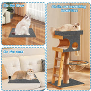 TBD06047859_B7.jpg@f9a3e1581350939a047d8c6f9ba51be3