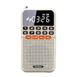 Rolton T1 Portable Radio Receiver Old People Singing Opera Player Mini Stereo Walkman(Gold) - Radio Player by Rolton | Online Shopping South Africa | PMC TechLife | Buy Now Pay Later Mobicred