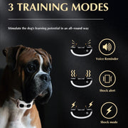 1 Drag 1 Pet Electronic Fence Wireless Stop Barker Outdoor Dog Collar Remote Control Dog Trainer(Gold)