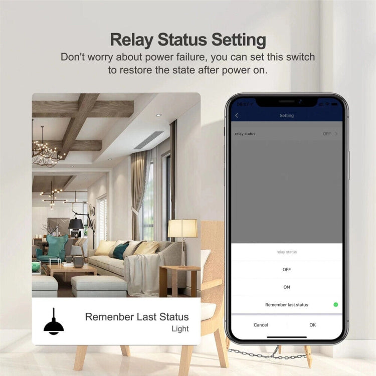 1CH  WiFi  Smart Switch Module For Alexa / Google Home / Tuya Smart Life APP