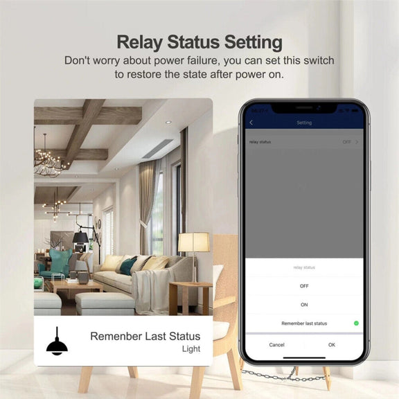 1CH  WiFi  Smart Switch Module For Alexa / Google Home / Tuya Smart Life APP