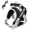 Large Dog Explosion Proof Punch Chest Harness Dog Travelling Leash, Style: Black+1.5m Round Rope(M) - Leashes & Chest Strap by PMC TechLife | Online Shopping South Africa | PMC TechLife | Buy Now Pay Later Mobicred