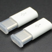 100pcs /Pack Type-C Plug Cover Dust Cap