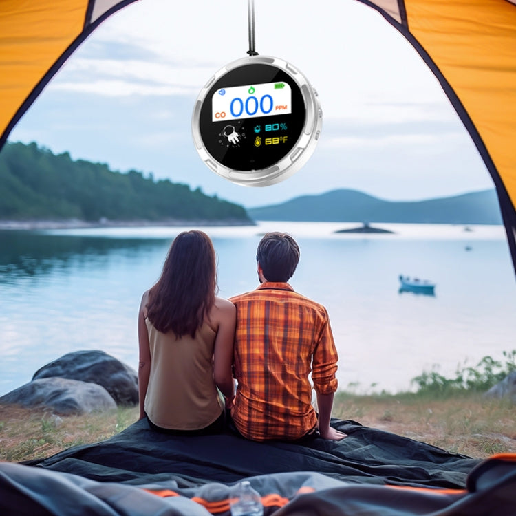 Portable Water-resistant Carbon Monoxide Alarm Detector(Black)