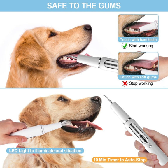 Pet Ultrasonic Teeth Cleaner Dog Electric Teeth Cleaning Tool Home Dentistry Tartar Remover(Black)