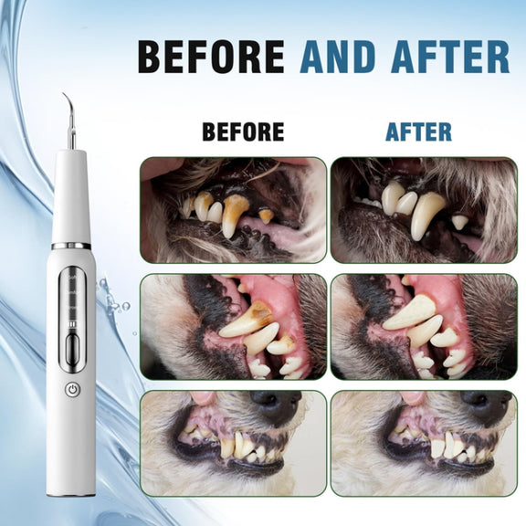Pet Ultrasonic Teeth Cleaner Dog Electric Teeth Cleaning Tool Home Dentistry Tartar Remover(Black)