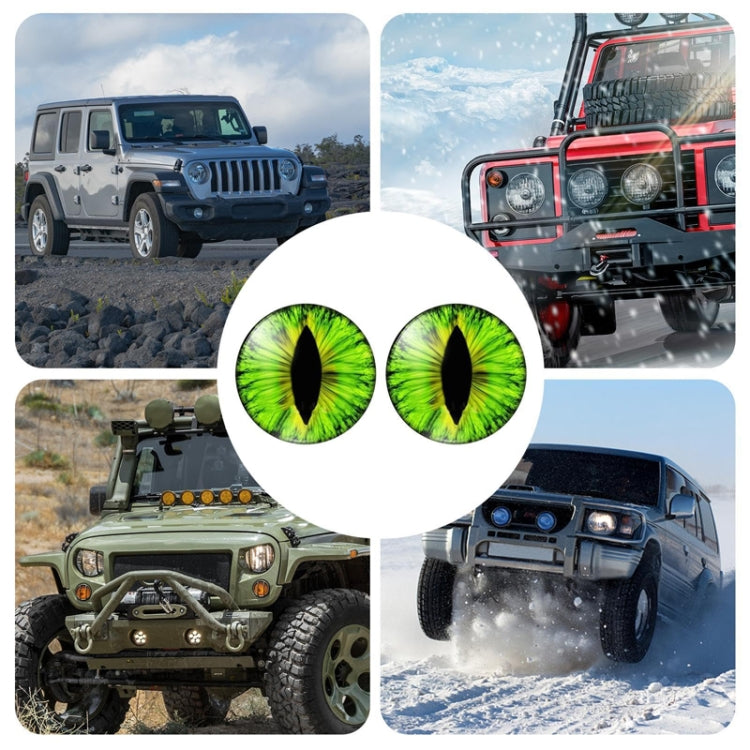 1pair Beast Eyes Headlight Decorative Stickers Off-Road Vehicle Front Lights Stereo Decals, Style: 25