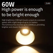 Desiontal ZU-60 60W Hand-Held Camera Light High Power Fill Light, EU Plug, Spec: Standard