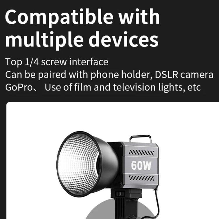 Desiontal ZU-60 60W Hand-Held Camera Light High Power Fill Light, EU Plug, Spec: Standard