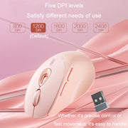 Inphic DR801 2.4G+Bluetooth 5.0/4.0 Wireless Mouse USB Tri-Mode Mute Rechargeable Girls Office Home Gaming Mouse(Pink)