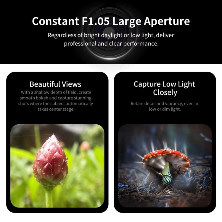 TBD06057093_B7.jpg@29e9ecfcad1f8c32f0be56f473f0ee5d