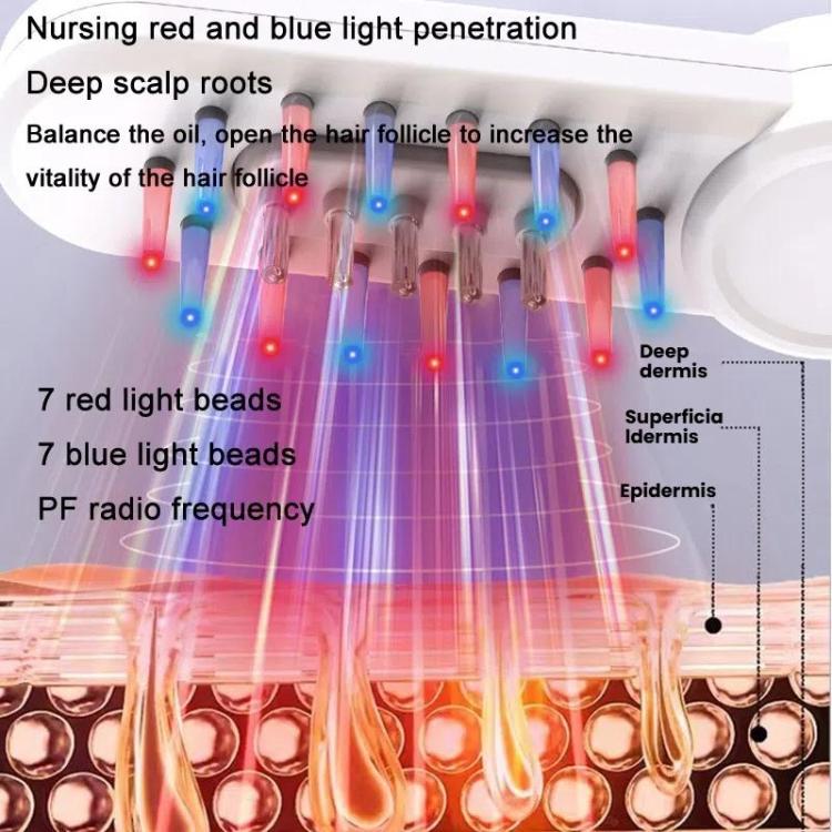 Hair Oil Applicator Roller Ball Red / Blue Light Electric Massage Comb Hair Regrowth Conductive Comb(Pink)