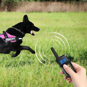 T720 1000m Pet Intelligent Electric Shock Remote Control Dog Training Device(Red)