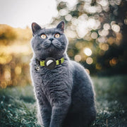 For AirTag Tracker Silicone Case Rainbow Gradient Pet Cat Collar With Bell(Gradient Blue)