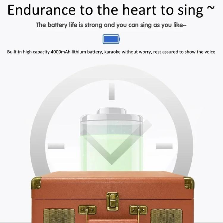 SDRD Wooden Box Karaoke Machine With Wireless Dual Mics All-In-One Speaker System Supports U Disk/TF Card(Gray)