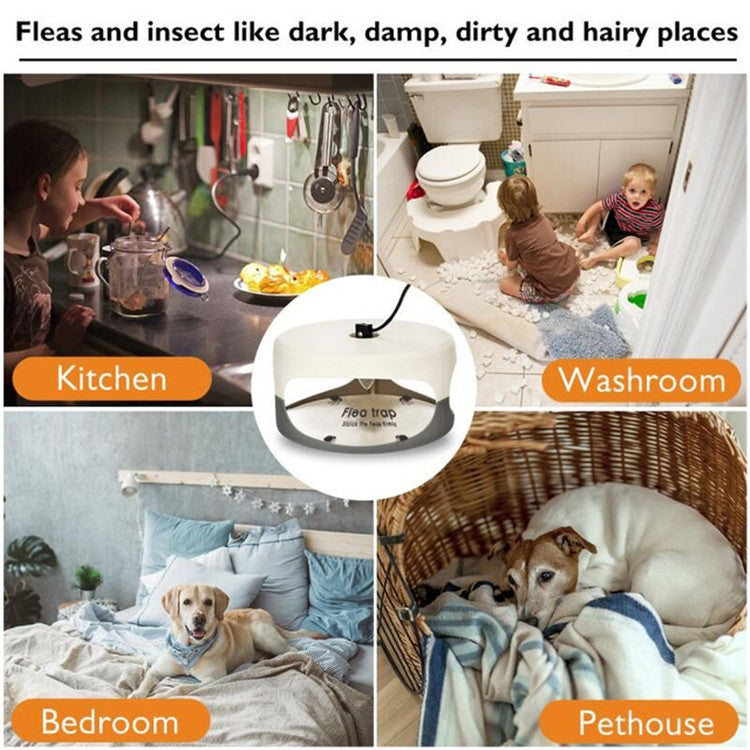 Flea Trap Pet Home Flea Lamp, Plug Type:JP Plug