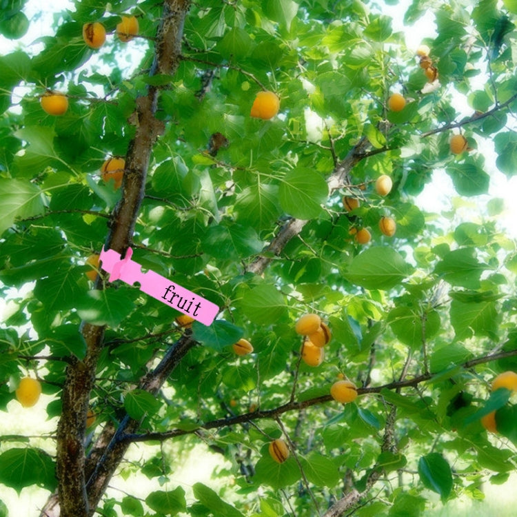 100 PCS Gardening Plant Sapling Seed Hanging Tree Label(Blue)