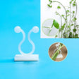 10 PCS Lulu Climbing Wall Fixer Vine Climbing Wall Sticking Hook, Size:Small(White) - free shipping - PMC TechLife - Order now!