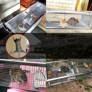 Household Mouse Cage Mousetrap with Double Door(Silver)