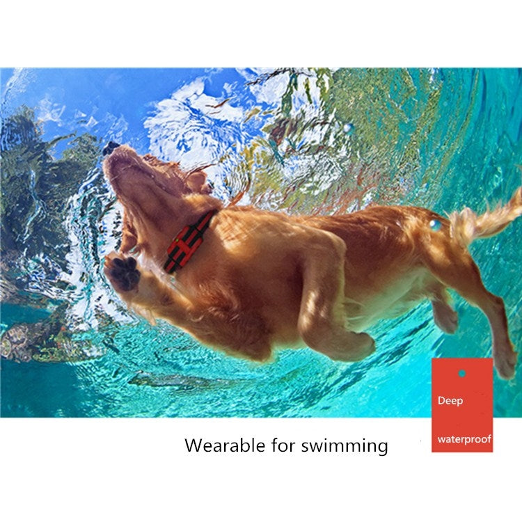 500m Dog Training Bark Stopper Remote Control Electric Shock Water-resistant Electronic Collar(Red)
