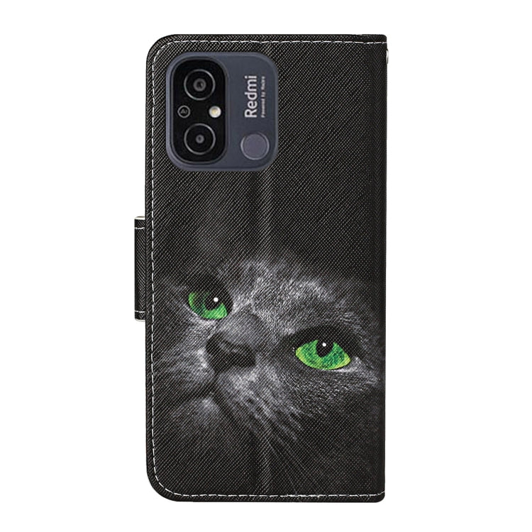 For Xiaomi Redmi 12C Colored Drawing Pattern Flip Leather Phone Case(Black Cat)