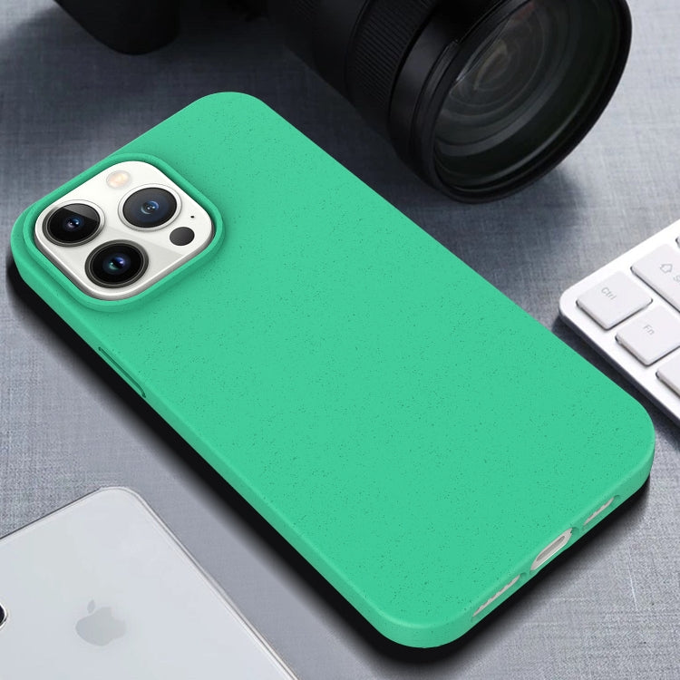 For iPhone 15 Pro Max TPU Shockproof Phone Case(Red)