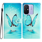 For Xiaomi Redmi 12C Colored Drawing Leather Phone Case(Blue Butterfly)