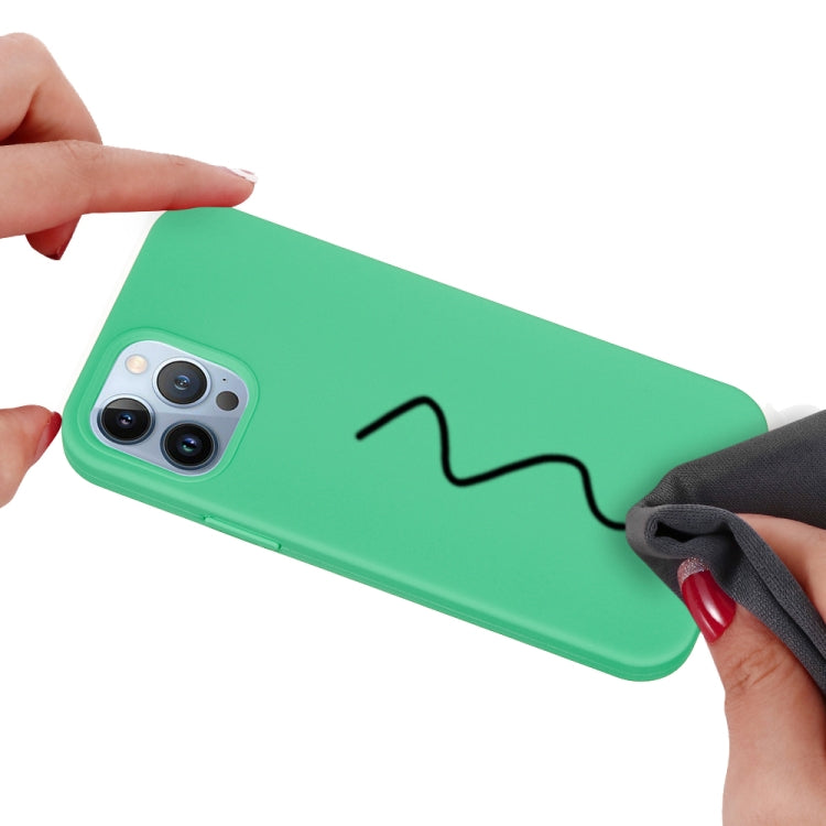 For iPhone 15 Pro Solid Color Silicone Phone Case(Green)