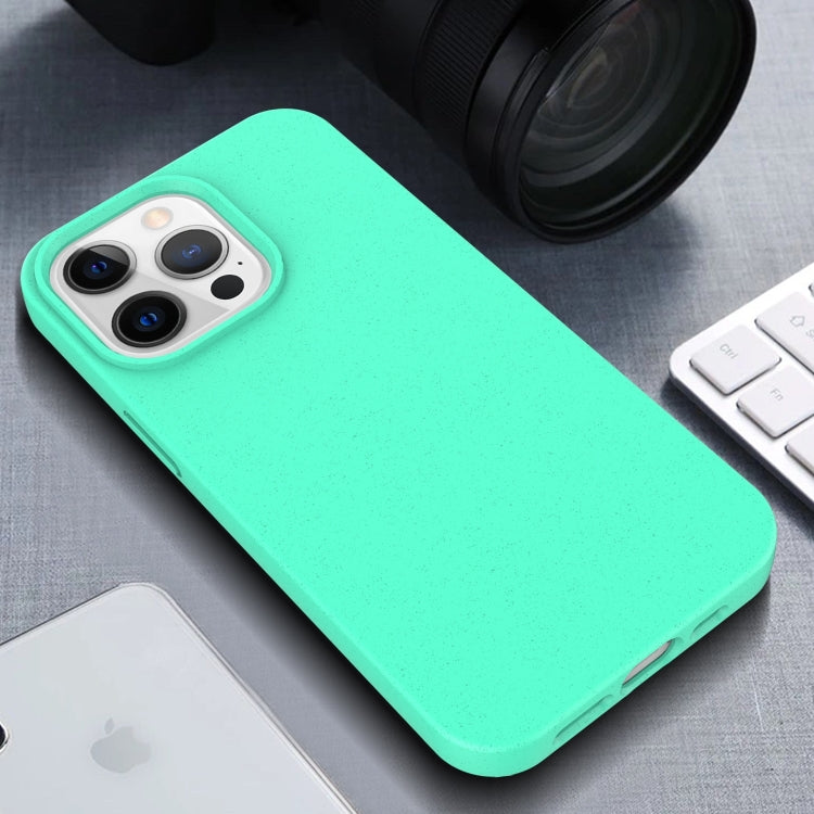 For iPhone 15 Starry Series Shockproof Straw Material + TPU Protective Case(Starlight)