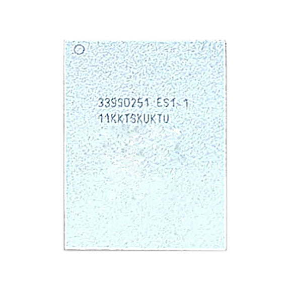 WiFi IC Module 339S0251 For iPad 9.7 (2018) / iPad 6 (WIFI Version)