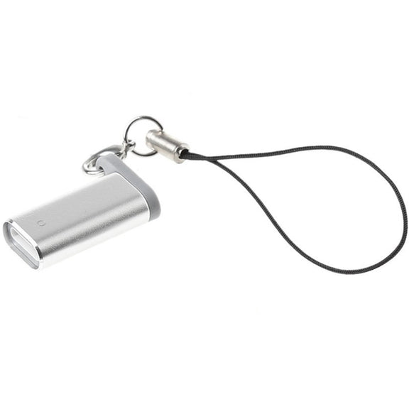 Aluminum Shell Apple Pencil Charger Adapter for iPad Pro(Silver)