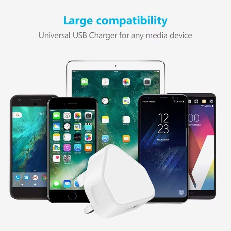 5V / 1A UK Plug USB Charger(White)