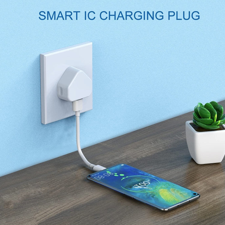 5V / 1A UK Plug USB Charger(White)